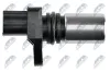 Impulsgeber, Kurbelwelle NTY ECP-TY-015 Bild Impulsgeber, Kurbelwelle NTY ECP-TY-015