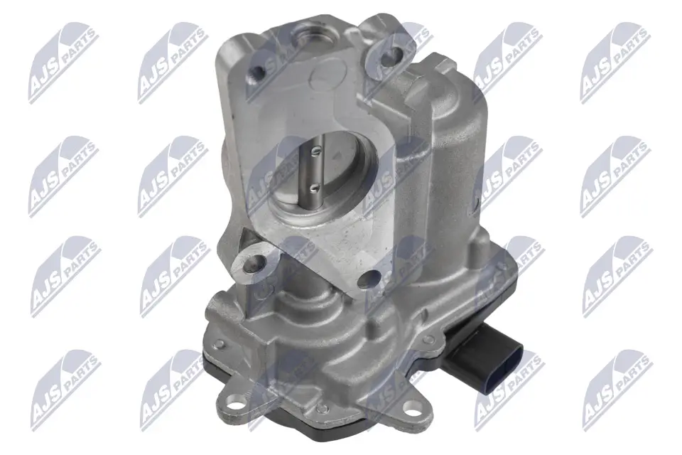 AGR-Ventil 12 V NTY EGR-AR-011