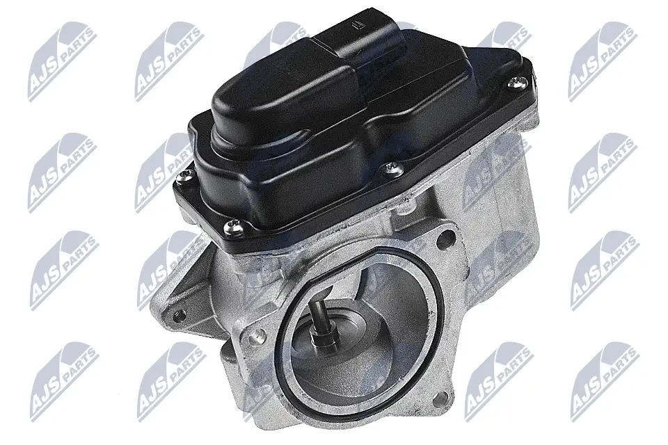 AGR-Ventil NTY EGR-AU-002