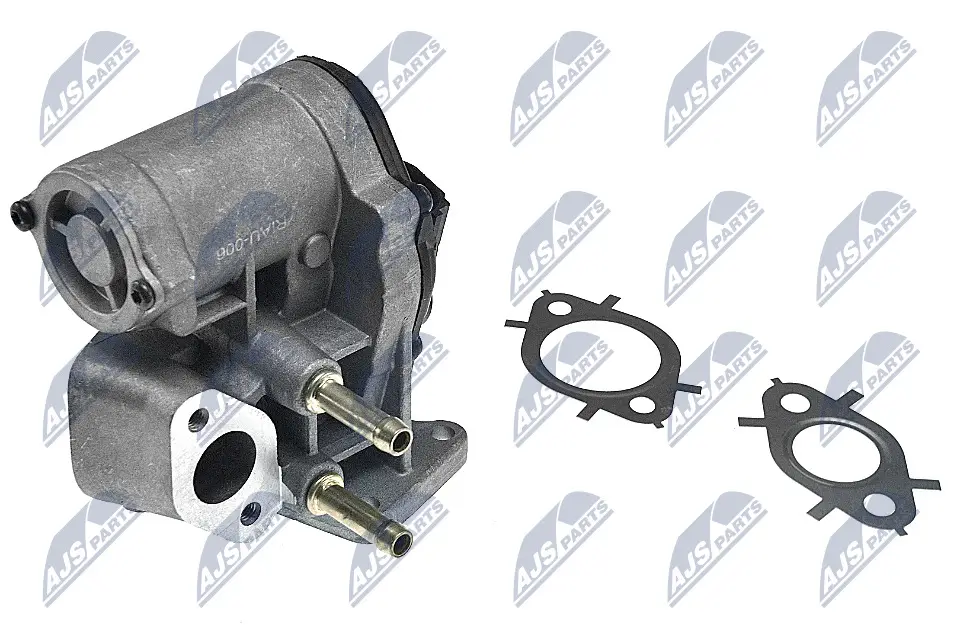 AGR-Ventil NTY EGR-AU-006