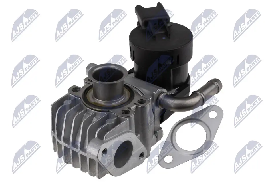 AGR-Ventil 12 V 12 V NTY EGR-BM-008