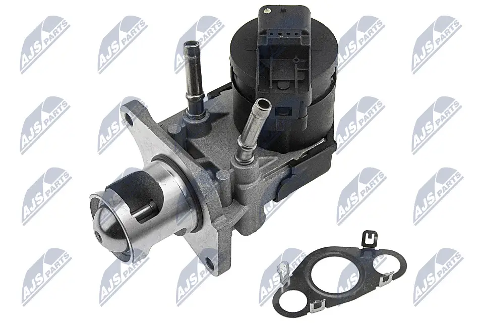 AGR-Ventil NTY EGR-BM-009