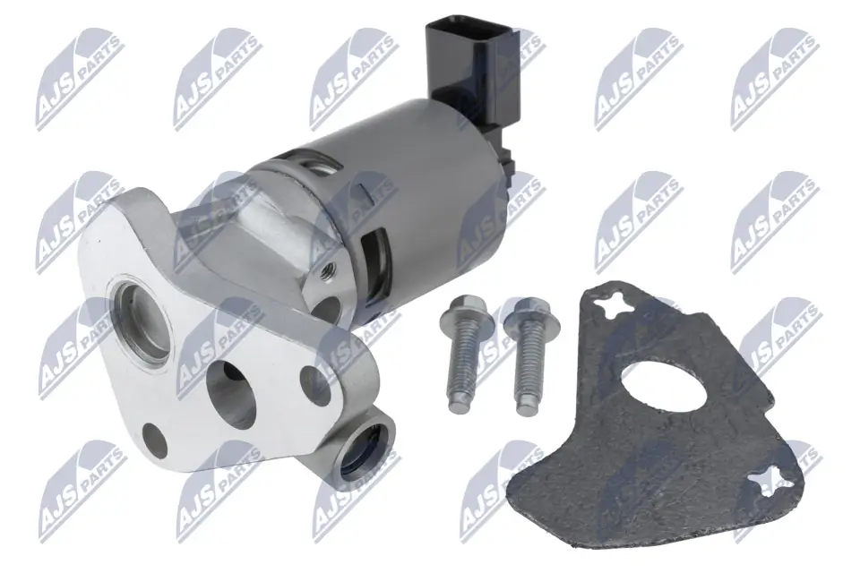 AGR-Ventil NTY EGR-CH-006