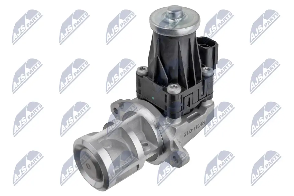 AGR-Ventil 12 V NTY EGR-CH-015