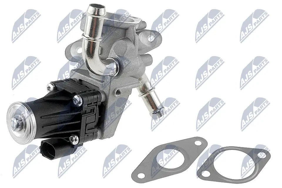AGR-Ventil NTY EGR-FR-007