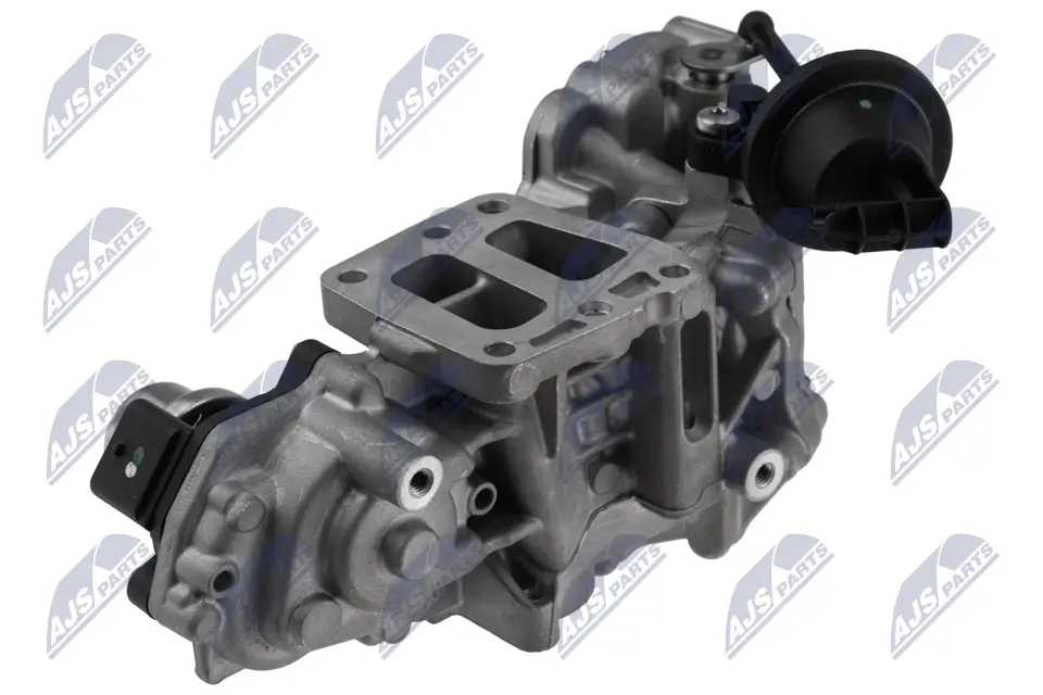 AGR-Ventil 12 V NTY EGR-FR-034