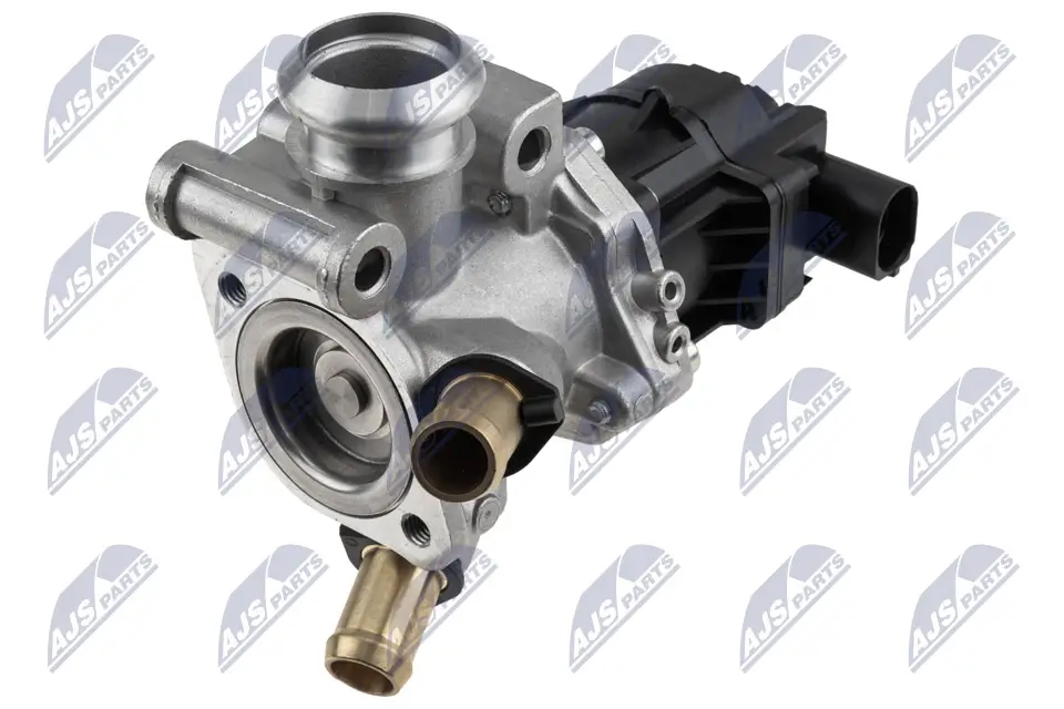 AGR-Ventil 12 V NTY EGR-FT-003