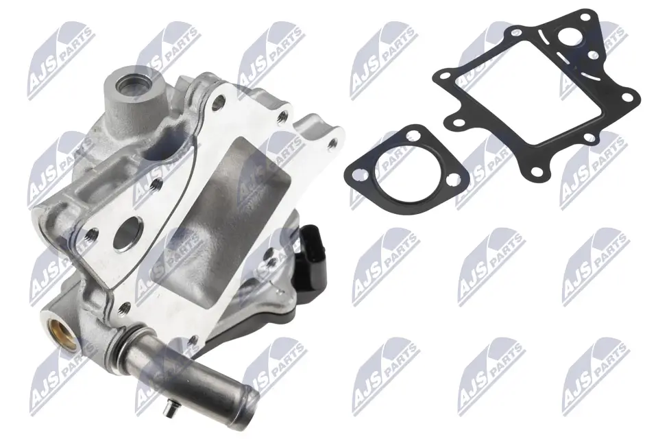 AGR-Ventil 12 V NTY EGR-FT-021
