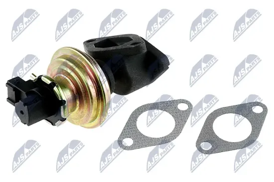 AGR-Ventil NTY EGR-LR-001 Bild AGR-Ventil NTY EGR-LR-001