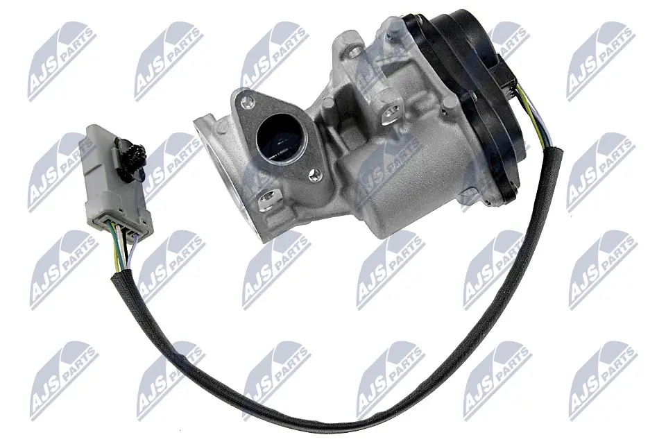 AGR-Ventil links NTY EGR-LR-004