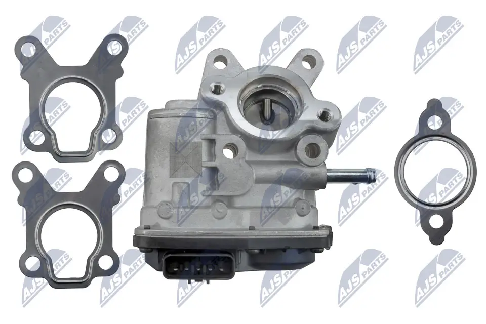 Fensterheber hinten rechts NTY EPS-FR-021