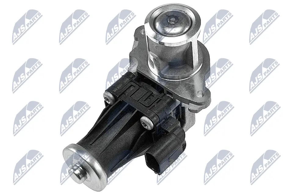 AGR-Ventil NTY EGR-PL-012