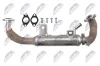 Kühler, Abgasrückführung NTY EGR-PL-050 Bild Kühler, Abgasrückführung NTY EGR-PL-050