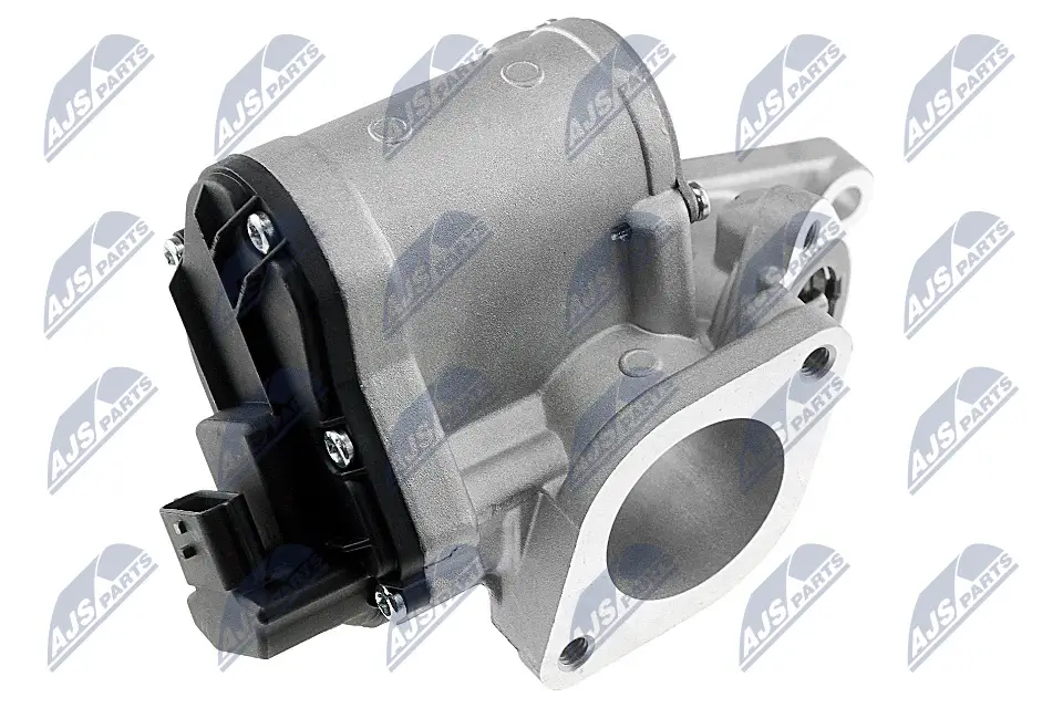 AGR-Ventil 12 V NTY EGR-RE-001