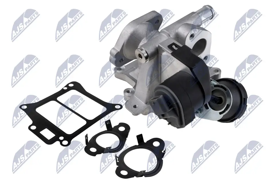 AGR-Ventil NTY EGR-VV-010
