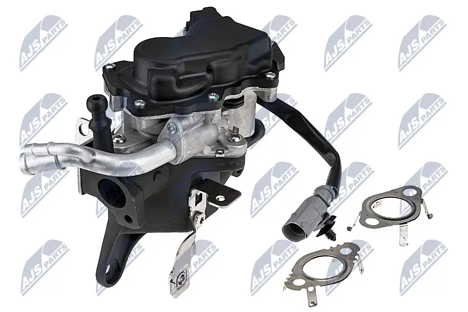 AGR-Ventil NTY EGR-WW-033