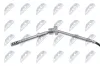 Sensor, Abgastemperatur NTY EGT-PL-052 Bild Sensor, Abgastemperatur NTY EGT-PL-052