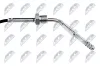 Sensor, Abgastemperatur NTY EGT-VW-050 Bild Sensor, Abgastemperatur NTY EGT-VW-050