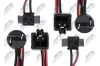 Kennzeichenleuchte beidseitig NTY ELP-VV-004 Bild Kennzeichenleuchte beidseitig NTY ELP-VV-004