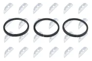 Dichtung, Nockenwellenverstellung NTY ENK-WW-011