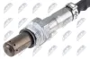 NOx-Sensor, Harnstoffeinspritzung NTY ENOX-PL-004 Bild NOx-Sensor, Harnstoffeinspritzung NTY ENOX-PL-004