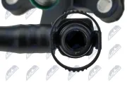 Sensor, Nockenwellenposition NTY ECP-VW-010