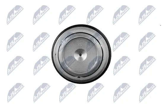 Druckbegrenzungsventil, Common-Rail-System NTY ESCV-RE-000 Bild Druckbegrenzungsventil, Common-Rail-System NTY ESCV-RE-000