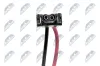 Elektromotor, Innenraumgebläse 12 V NTY EWN-BM-002 Bild Elektromotor, Innenraumgebläse 12 V NTY EWN-BM-002