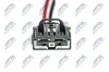 Innenraumgebläse 12 V NTY EWN-VV-001 Bild Innenraumgebläse 12 V NTY EWN-VV-001