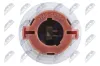Lampenfassung, Blinkleuchte beidseitig NTY EZ-VW-006 Bild Lampenfassung, Blinkleuchte beidseitig NTY EZ-VW-006