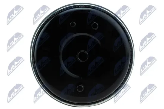 Luftfeder, Fahrwerk NTY EZC-BM-315 Bild Luftfeder, Fahrwerk NTY EZC-BM-315