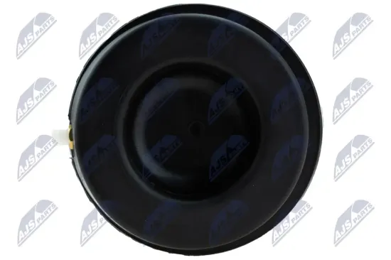 Luftfeder, Fahrwerk hinten links hinten rechts NTY EZC-CH-067 Bild Luftfeder, Fahrwerk hinten links hinten rechts NTY EZC-CH-067