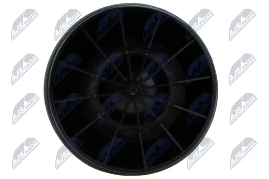 Luftfeder, Fahrwerk hinten links hinten rechts NTY EZC-CH-067 Bild Luftfeder, Fahrwerk hinten links hinten rechts NTY EZC-CH-067