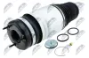Luftfeder, Fahrwerk Vorderachse beidseitig NTY EZC-CH-068 Bild Luftfeder, Fahrwerk Vorderachse beidseitig NTY EZC-CH-068
