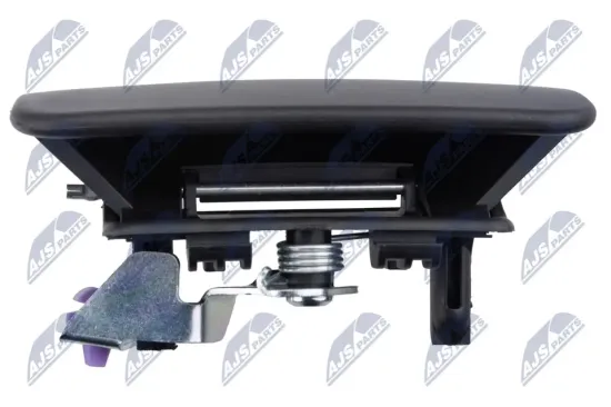 Türaußengriff vorne rechts NTY EZC-FR-169 Bild Türaußengriff vorne rechts NTY EZC-FR-169