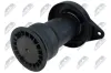 Luftfeder, Fahrwerk Hinterachse beidseitig NTY EZC-FT-201 Bild Luftfeder, Fahrwerk Hinterachse beidseitig NTY EZC-FT-201