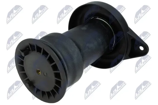 Luftfeder, Fahrwerk Hinterachse beidseitig NTY EZC-FT-201 Bild Luftfeder, Fahrwerk Hinterachse beidseitig NTY EZC-FT-201