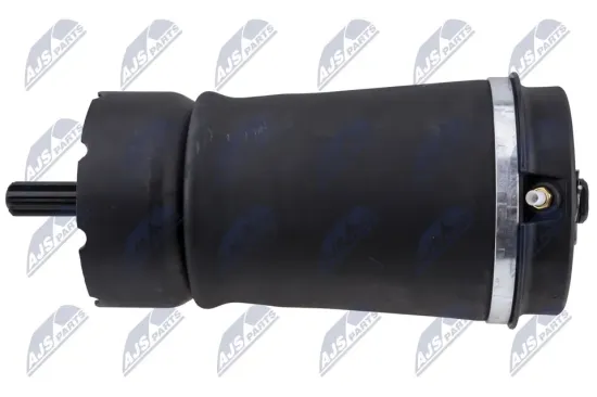 Luftfeder, Fahrwerk Hinterachse NTY EZC-LR-075 Bild Luftfeder, Fahrwerk Hinterachse NTY EZC-LR-075