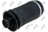 Luftfeder, Fahrwerk Hinterachse beidseitig NTY EZC-ME-191 Bild Luftfeder, Fahrwerk Hinterachse beidseitig NTY EZC-ME-191