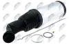 Luftfeder, Fahrwerk Hinterachse beidseitig NTY EZC-ME-198 Bild Luftfeder, Fahrwerk Hinterachse beidseitig NTY EZC-ME-198