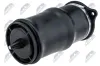 Luftfeder, Fahrwerk Hinterachse beidseitig NTY EZC-ME-210 Bild Luftfeder, Fahrwerk Hinterachse beidseitig NTY EZC-ME-210