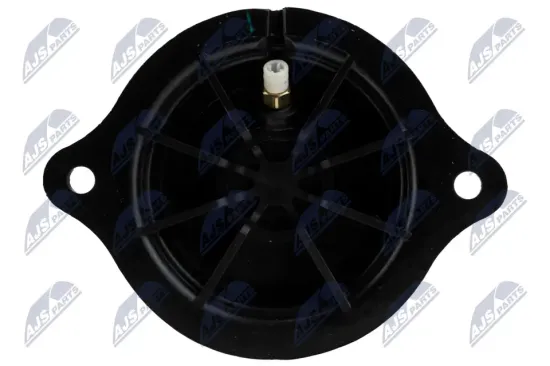 Luftfeder, Fahrwerk Hinterachse beidseitig NTY EZC-ME-210 Bild Luftfeder, Fahrwerk Hinterachse beidseitig NTY EZC-ME-210