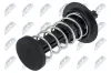 Puffer, Motorhaube NTY EZC-ME-216