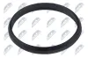 Dichtung, Steuerkettenspanner stirnseitig NTY EZC-PL-151 Bild Dichtung, Steuerkettenspanner stirnseitig NTY EZC-PL-151