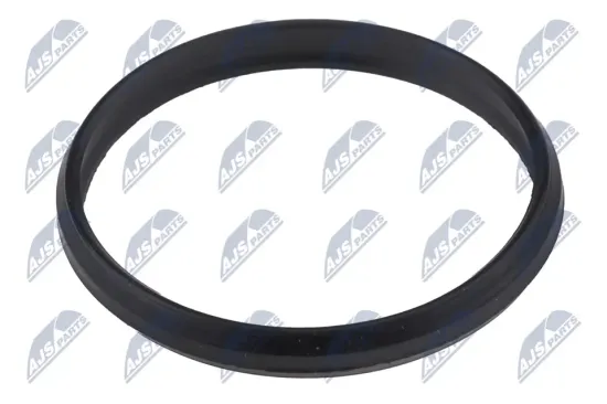 Dichtung, Steuerkettenspanner stirnseitig NTY EZC-PL-151 Bild Dichtung, Steuerkettenspanner stirnseitig NTY EZC-PL-151