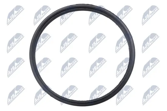 Dichtung, Steuerkettenspanner stirnseitig NTY EZC-PL-151 Bild Dichtung, Steuerkettenspanner stirnseitig NTY EZC-PL-151