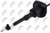 Motorhaubenzug NTY EZC-RE-317 Bild Motorhaubenzug NTY EZC-RE-317