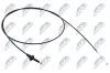 Motorhaubenzug NTY EZC-TY-052 Bild Motorhaubenzug NTY EZC-TY-052
