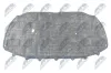 Motorraumdämmung Motorhaube NTY EZC-WW-231 Bild Motorraumdämmung Motorhaube NTY EZC-WW-231