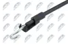 Seilzug, Türentriegelung NTY EZC-WW-366 Bild Seilzug, Türentriegelung NTY EZC-WW-366